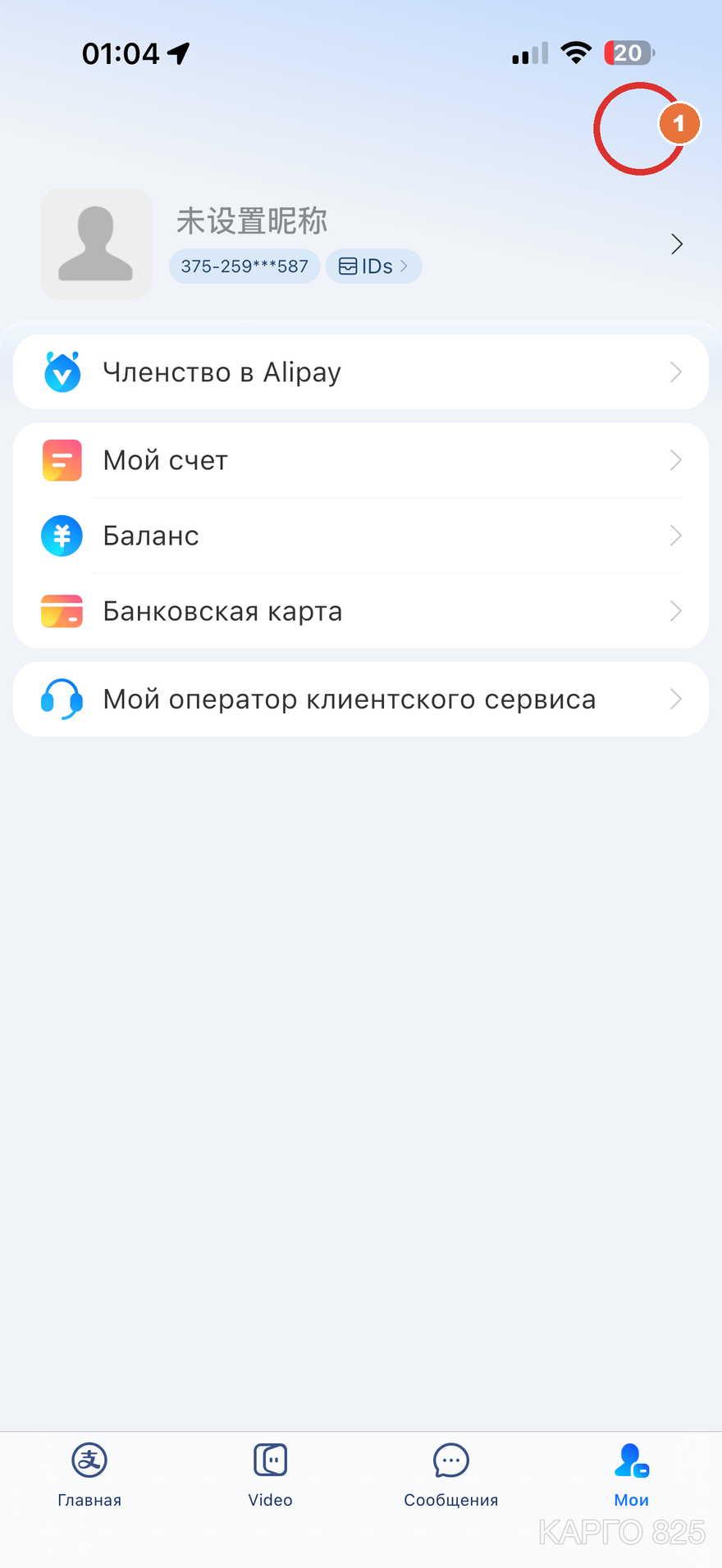 Вкладка «Мои» в Alipay — шестерёнка настроек под номером 1 в правом верхнем углу